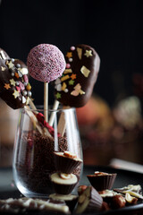 Homemade chocolate cake pops. Selective focus