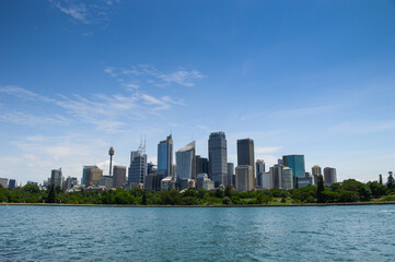 Naklejka premium overlooking botanic garden and city center with skyscrapers in Sydney