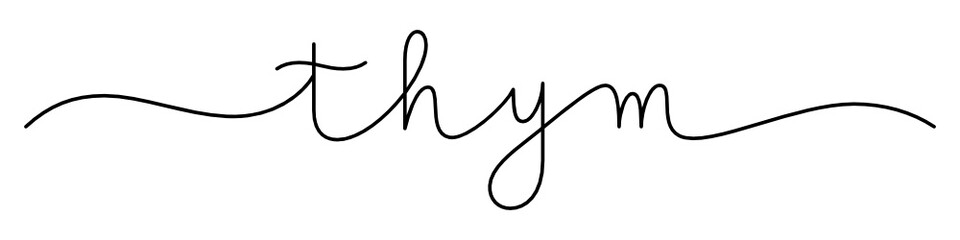 Calligraphie vecteur noir THYM