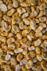 Vicia faba, also known in the culinary sense as the broad bean, fava bean, or faba bean, is a species of flowering plant in the pea and bean family Fabaceae. Background and texture.