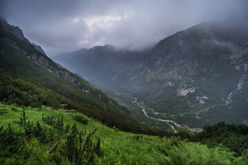 Fototapeta premium Foggy, wet conditions in mountains. Dull, autumn weather.