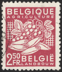 Postage stamps of the Belgium. Stamp printed in the Belgium. Stamp printed by Belgium.