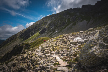Mountain hiking trail lined with large gray stones covered with green moss surrounded by low mountain pine. In the distance visible high mountains and a steep path, curving among the rocks.