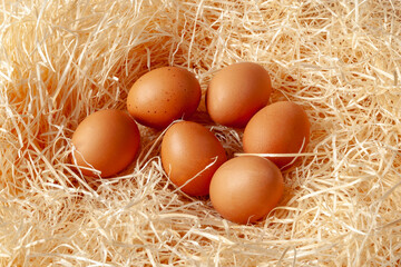 Fresh chicken eggs lie on a wooden chip.
