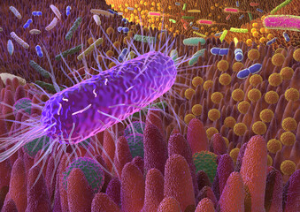 Darmflora_III_DIN_A3