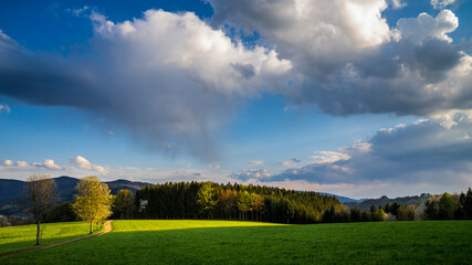 Germany, Colorful clouds moving smoothly over trees at the edge of the forest of black forest nature landscape at sunset