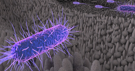 Darmflora_III_Micro_4K