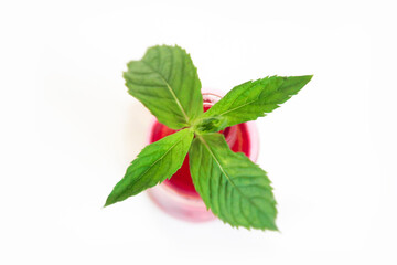 mint oil in a pink bottle and green leaves of natural mint