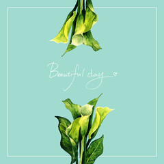 카라꽃 민트프레임