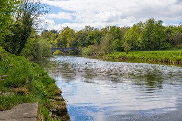 Fototapeta na wymiar Summer day on the river ribble, Clitheroe. Gentle flowing water and lush green foliage 