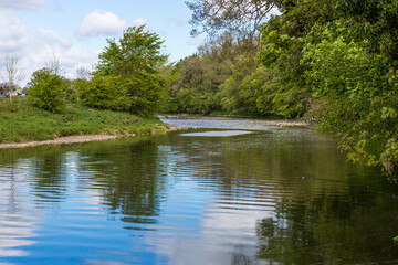 Fototapeta na wymiar Summer day on the river ribble, Clitheroe. Gentle flowing water and lush green foliage