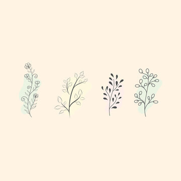 Set of hand drawn floral elements. doodle plants with leafs, vector flowers collection