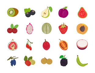 Fruit Flat Vector Pack