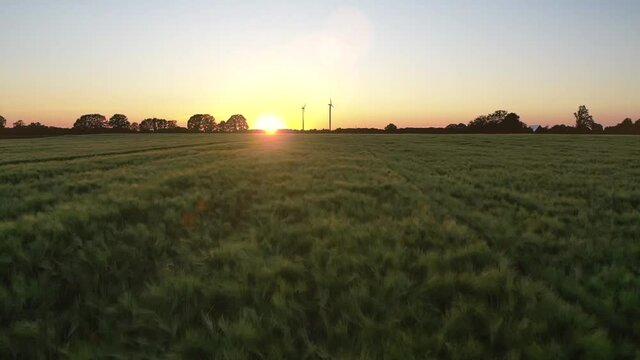 Getreidefelder von oben