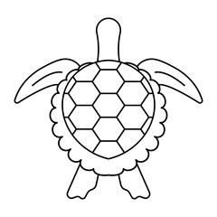 sea turtle or marine turtle top view line art icons for apps and websites