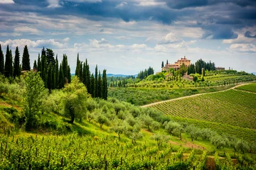 Keuken foto achterwand Toscane Chianti-heuvels met wijngaarden en cipressen. Toscaans landschap tussen Siena en Florence. Italië