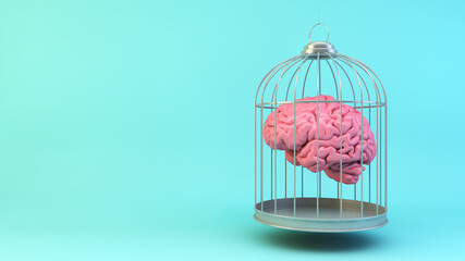 Brain on a cage