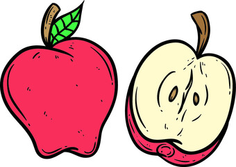 apple collection using doodle art on white background