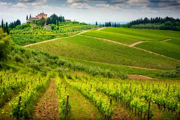 Foto op Plexiglas Chianti hills with vineyards and cypress. Tuscan Landscape between Siena and Florence. Italy © Massimo Santi