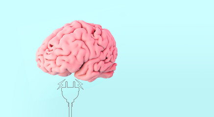 human brain AND PLUG