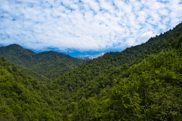 Naklejka premium View of the forests and mountains in Samegrelo Planned National Park, Georgia.