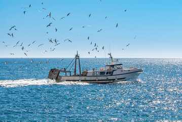 Barco de pesca atracado en el puerto y descargando la pesca del día