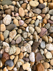 Round pebbles. Multicolored colorful pebbles. Texture background.
