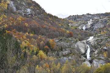 Fototapeta premium autunno
