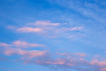 Pink twilight cloud
