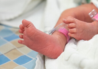 Fototapeta na wymiar Close up of Newborn baby feet.