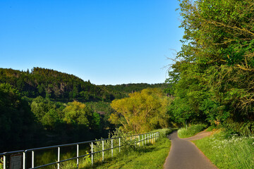 road in the forest