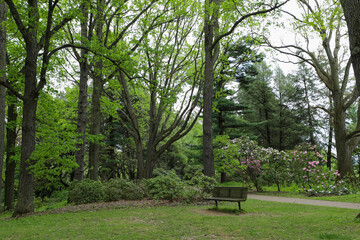 Park bench in the Azalea gardens. at Highland Park in Rochester, New York.