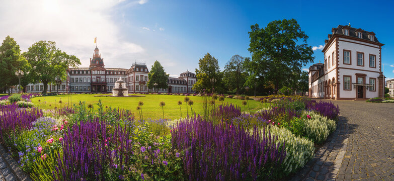 colorful flowers in the city of Hanau - Germany