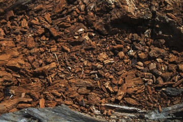 Red wooden backgrpund and texture. Abstract wooden background.