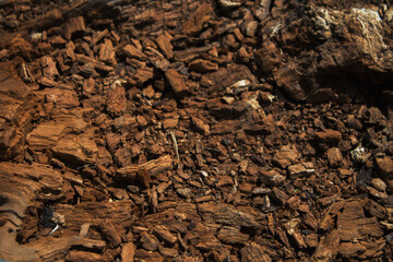 Wooden background. Brown wooden background. Natural background. Wooden style. Wooden pattern.