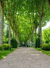 park of Oloron Sainte Marie, france