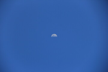 青空に浮かぶ半月