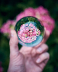 Flowers seen through a lensball in spring © Albert