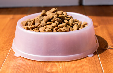 cat food bowl