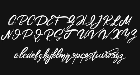 Vector handwritten calligraphic  font with vintage  rough texture. Type for card, poster, banner, print for t-shirt.