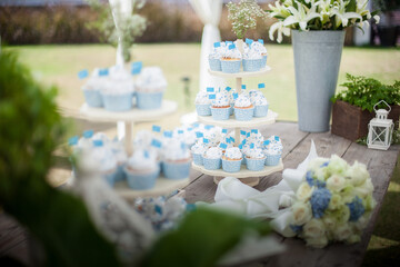 White and blue cup cake on wooden table in wedding ceremony with flowers outside in the garden. garden party set up for lunch dinner with long table folding chairs and flowers.