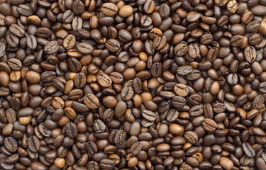 Selected calibrated Arabica coffee beans scattered on a surface, table, blended, top view