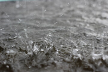 Obraz premium Beautiful Water Drop From Rain..............