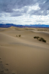 mesquite flat sand dunes in death valley national park in california, usa