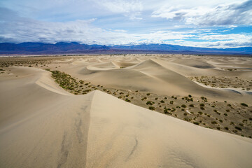 mesquite flat sand dunes in death valley national park in california, usa