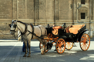 Fototapeta na wymiar Horse and carriage in Seville