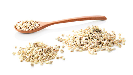 Job`s tears,Adlay,millet or Pivot in wooden spoon pile and spread isolated on white background.Scientific name is Cox lacrima job.,Harb.