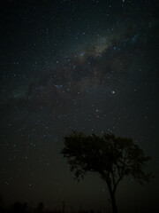 Milky Way in starry sky with tree and landscape below, timelapse sequence image 94-100
Night landscape in the mountains of Argentina - Córdoba - Condor Copina