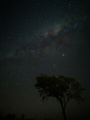 Milky Way in starry sky with tree and landscape below, timelapse sequence image 76-100
Night landscape in the mountains of Argentina - Córdoba - Condor Copina