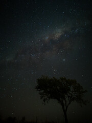 Milky Way in starry sky with tree and landscape below, timelapse sequence image 54-100
Night landscape in the mountains of Argentina - Córdoba - Condor Copina
